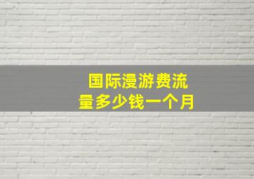 国际漫游费流量多少钱一个月