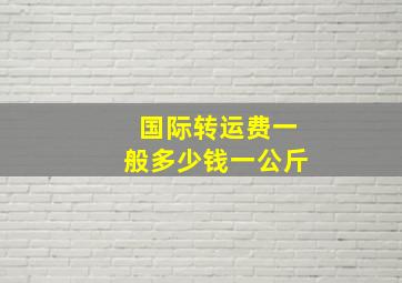 国际转运费一般多少钱一公斤