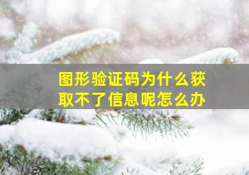 图形验证码为什么获取不了信息呢怎么办