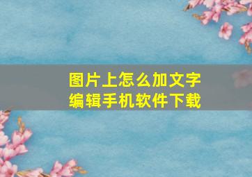 图片上怎么加文字编辑手机软件下载