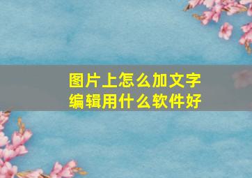 图片上怎么加文字编辑用什么软件好