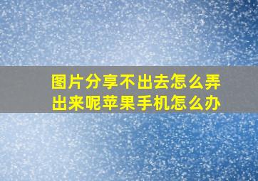 图片分享不出去怎么弄出来呢苹果手机怎么办