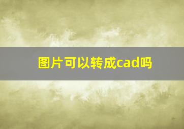 图片可以转成cad吗