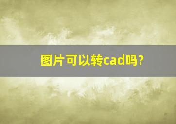 图片可以转cad吗?