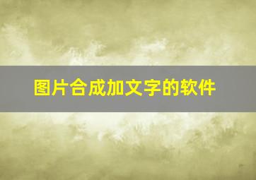 图片合成加文字的软件