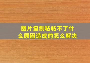 图片复制粘帖不了什么原因造成的怎么解决