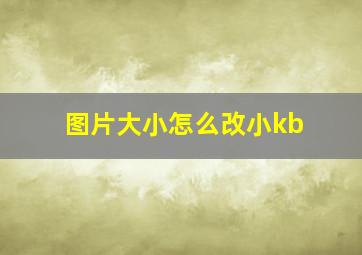 图片大小怎么改小kb