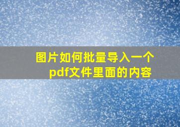 图片如何批量导入一个pdf文件里面的内容