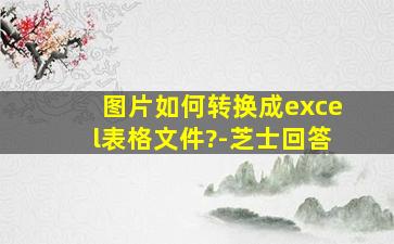 图片如何转换成excel表格文件?-芝士回答