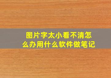 图片字太小看不清怎么办用什么软件做笔记