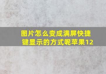 图片怎么变成满屏快捷键显示的方式呢苹果12