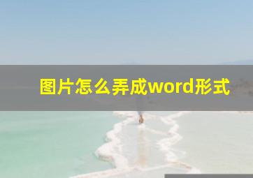 图片怎么弄成word形式