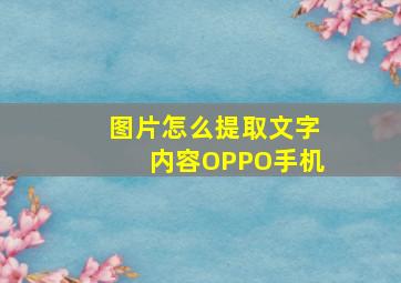 图片怎么提取文字内容OPPO手机