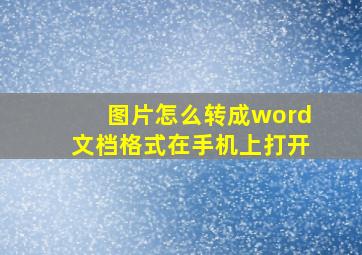 图片怎么转成word文档格式在手机上打开