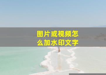 图片或视频怎么加水印文字