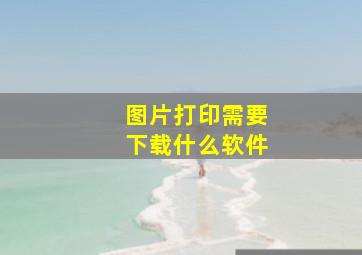 图片打印需要下载什么软件