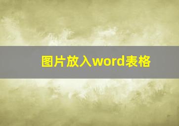 图片放入word表格