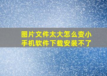 图片文件太大怎么变小手机软件下载安装不了