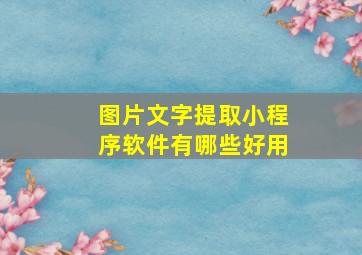 图片文字提取小程序软件有哪些好用