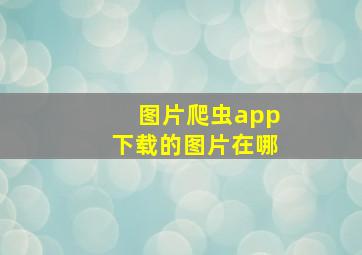 图片爬虫app下载的图片在哪