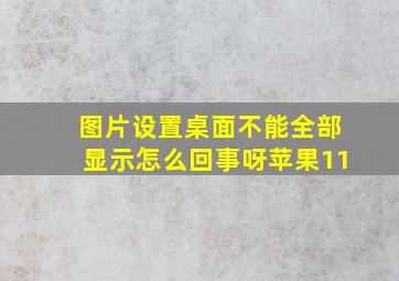 图片设置桌面不能全部显示怎么回事呀苹果11