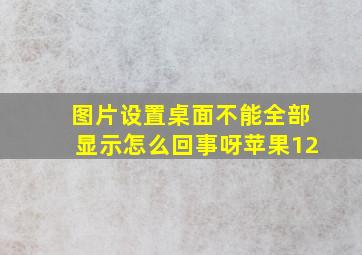 图片设置桌面不能全部显示怎么回事呀苹果12