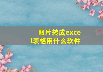 图片转成excel表格用什么软件