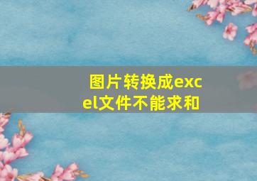 图片转换成excel文件不能求和