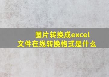 图片转换成excel文件在线转换格式是什么