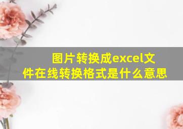 图片转换成excel文件在线转换格式是什么意思