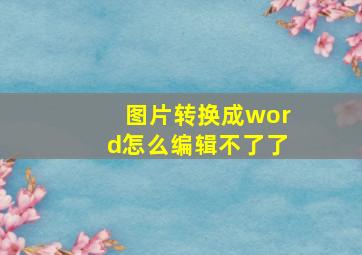 图片转换成word怎么编辑不了了