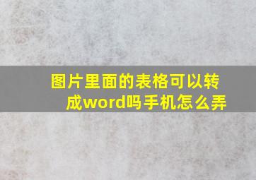 图片里面的表格可以转成word吗手机怎么弄