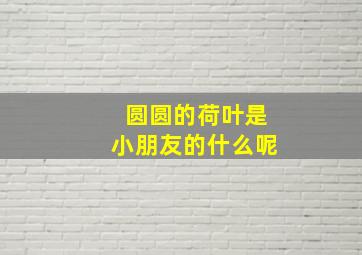 圆圆的荷叶是小朋友的什么呢