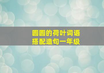 圆圆的荷叶词语搭配造句一年级