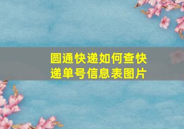 圆通快递如何查快递单号信息表图片