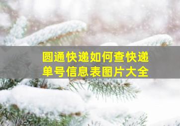 圆通快递如何查快递单号信息表图片大全