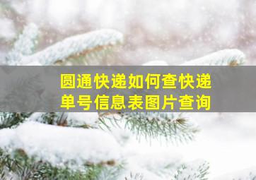 圆通快递如何查快递单号信息表图片查询