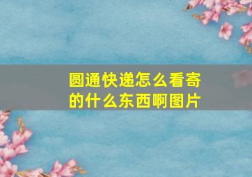 圆通快递怎么看寄的什么东西啊图片