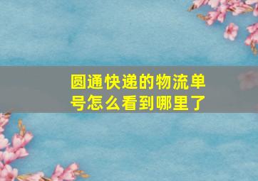 圆通快递的物流单号怎么看到哪里了