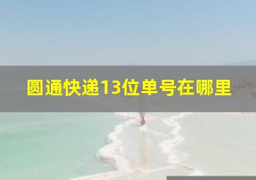 圆通快递13位单号在哪里