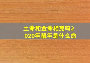 土命和金命相克吗2020年鼠年是什么命