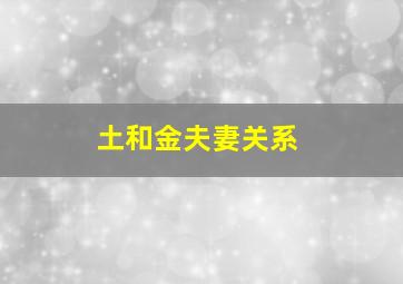 土和金夫妻关系