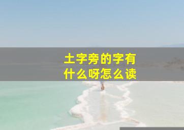 土字旁的字有什么呀怎么读