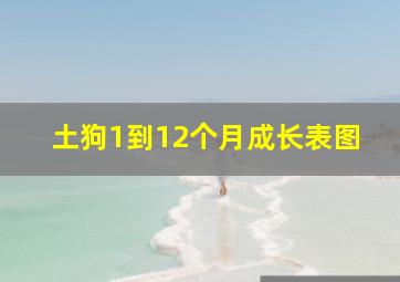 土狗1到12个月成长表图