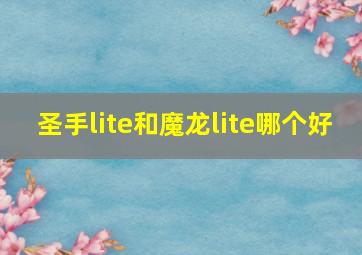 圣手lite和魔龙lite哪个好