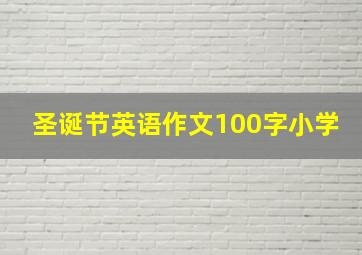 圣诞节英语作文100字小学