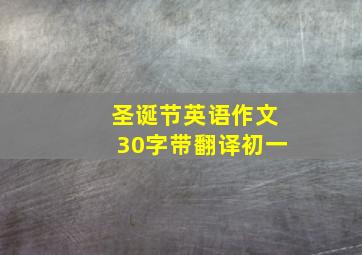 圣诞节英语作文30字带翻译初一