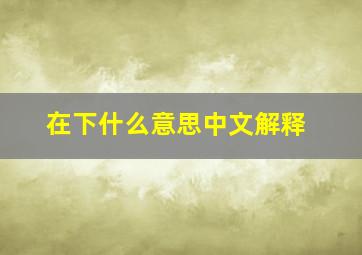 在下什么意思中文解释