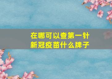 在哪可以查第一针新冠疫苗什么牌子