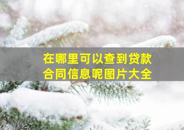 在哪里可以查到贷款合同信息呢图片大全